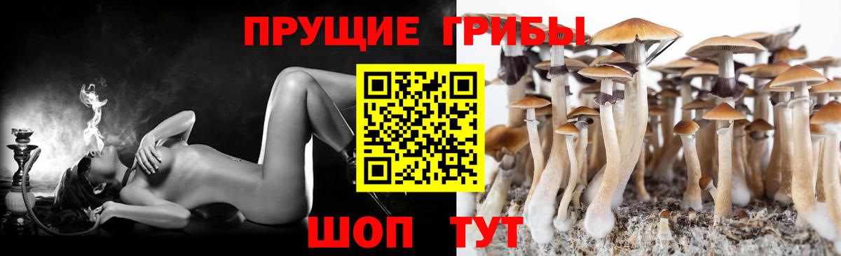 Зеленокумск  Псилоцибиновые грибы GOLDEN TEACHER  Вход с VPN 