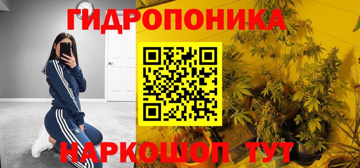 Бошки марихуана VHQ Зеленокумск